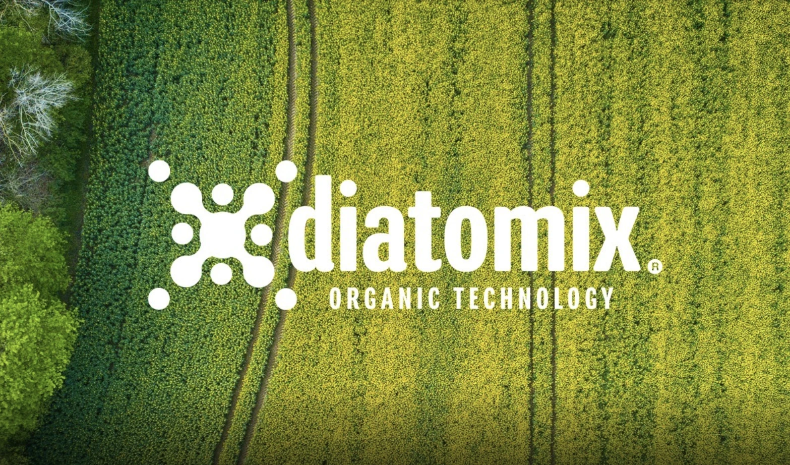 Comunidad Diatomix